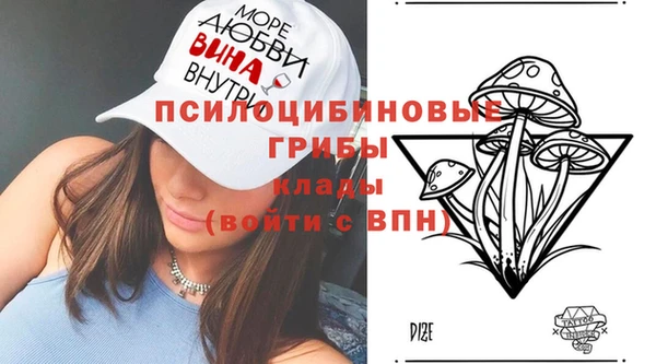 метадон Абаза