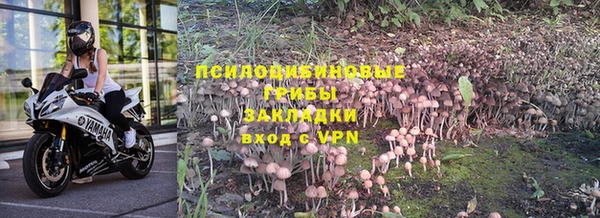 винт Абинск